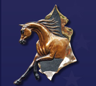 European Championships - Replay