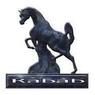 Rabab Championship International B-Show