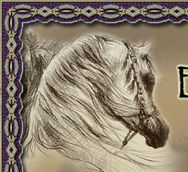 The 2014 Egyptian Event Europe 