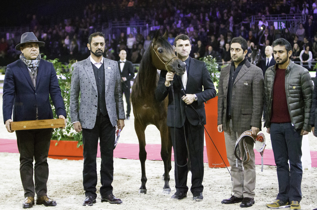 2014 Salon du Cheval de Paris World Arabian Horse Championship