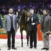 2014 Salon du Cheval de Paris World Arabian Horse Championship