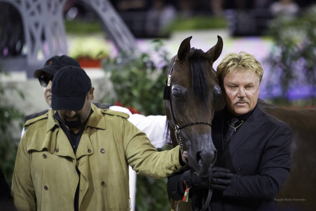 2014 Salon du Cheval de Paris World Arabian Horse Championship