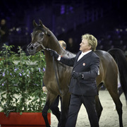 2014 Salon du Cheval de Paris World Arabian Horse Championship
