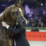 2014 Salon du Cheval de Paris World Arabian Horse Championship