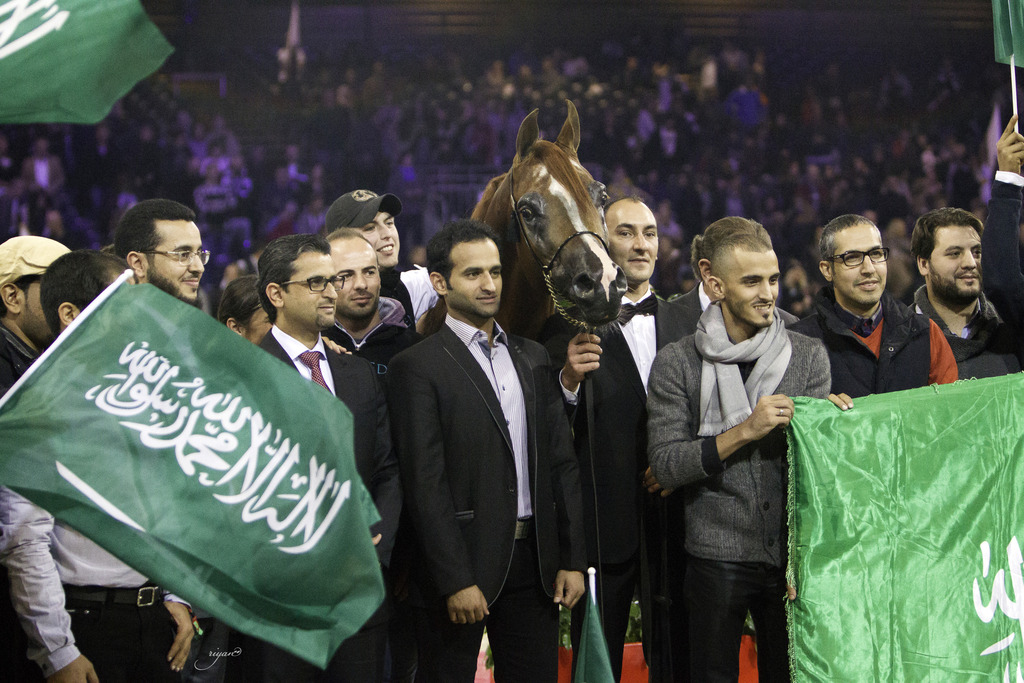 2014 Salon du Cheval de Paris World Arabian Horse Championship