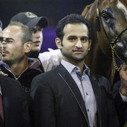 2014 Salon du Cheval de Paris World Arabian Horse Championship