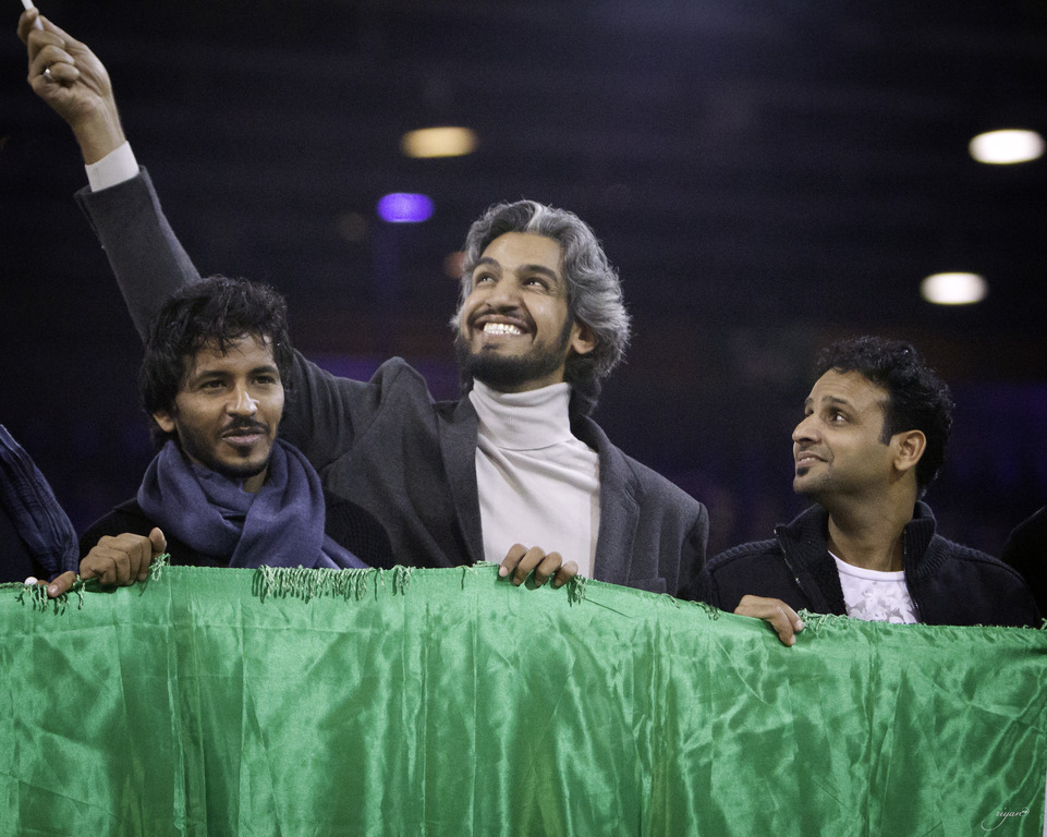 2014 Salon du Cheval de Paris World Arabian Horse Championship