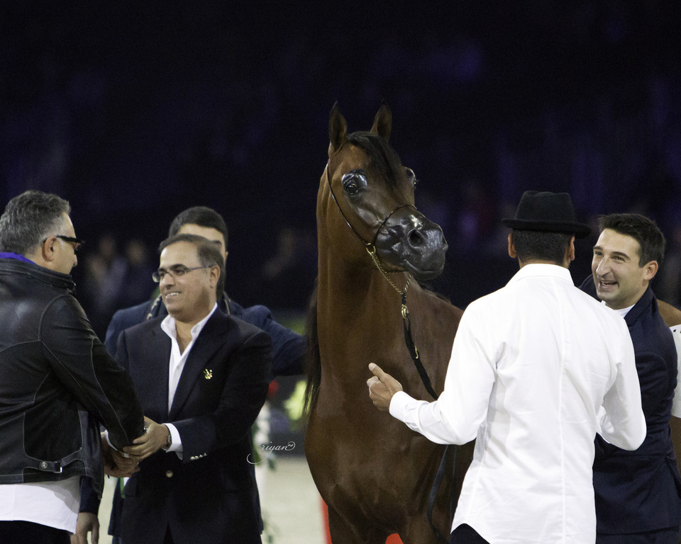 2014 Salon du Cheval de Paris World Arabian Horse Championship