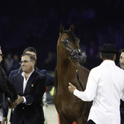 2014 Salon du Cheval de Paris World Arabian Horse Championship