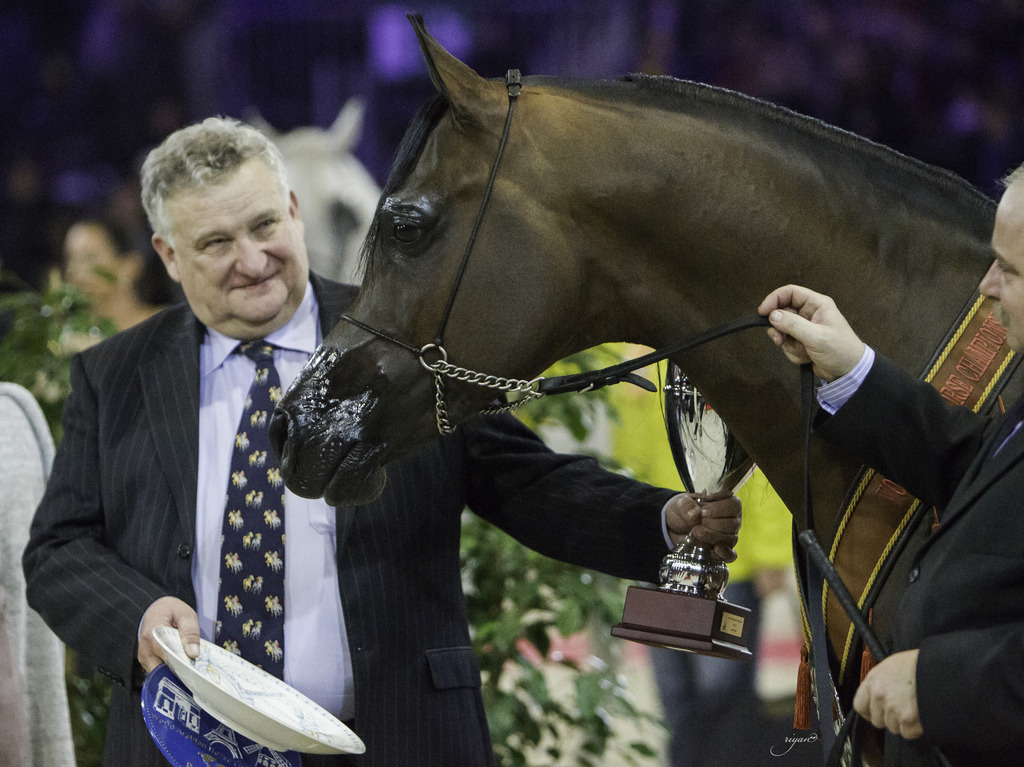 2014 Salon du Cheval de Paris World Arabian Horse Championship