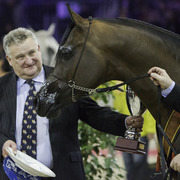 2014 Salon du Cheval de Paris World Arabian Horse Championship