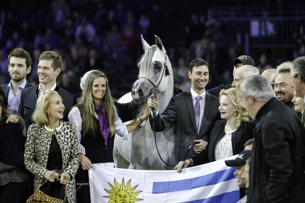 2014 Salon du Cheval de Paris World Arabian Horse Championship