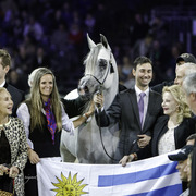 2014 Salon du Cheval de Paris World Arabian Horse Championship