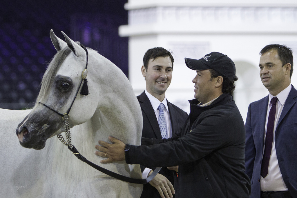 2014 Salon du Cheval de Paris World Arabian Horse Championship