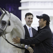 2014 Salon du Cheval de Paris World Arabian Horse Championship