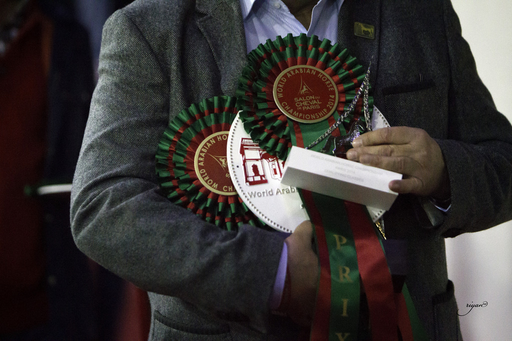 2014 Salon du Cheval de Paris World Arabian Horse Championship