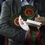 2014 Salon du Cheval de Paris World Arabian Horse Championship