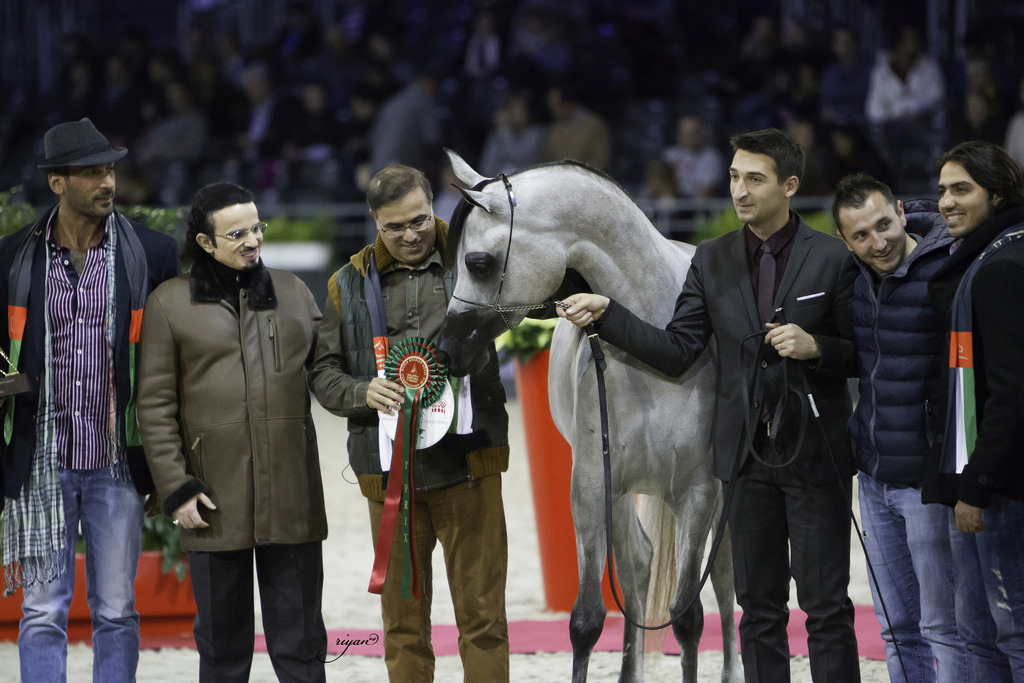 2014 Salon du Cheval de Paris World Arabian Horse Championship