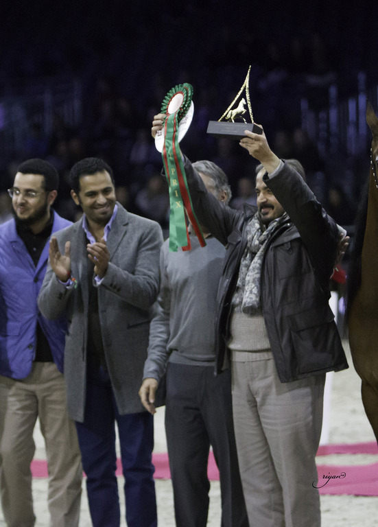 2014 Salon du Cheval de Paris World Arabian Horse Championship