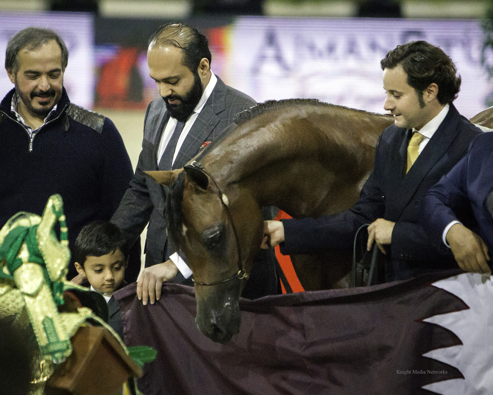2014 Salon du Cheval de Paris World Arabian Horse Championship