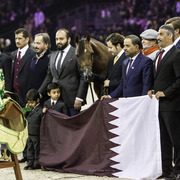 2014 Salon du Cheval de Paris World Arabian Horse Championship