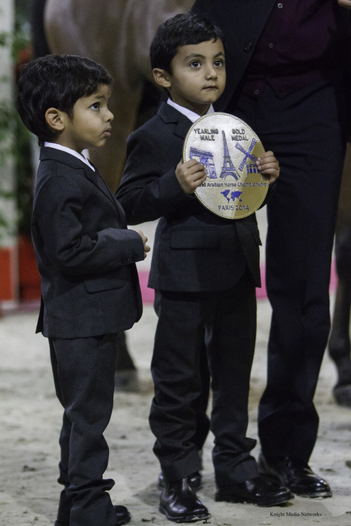 2014 Salon du Cheval de Paris World Arabian Horse Championship