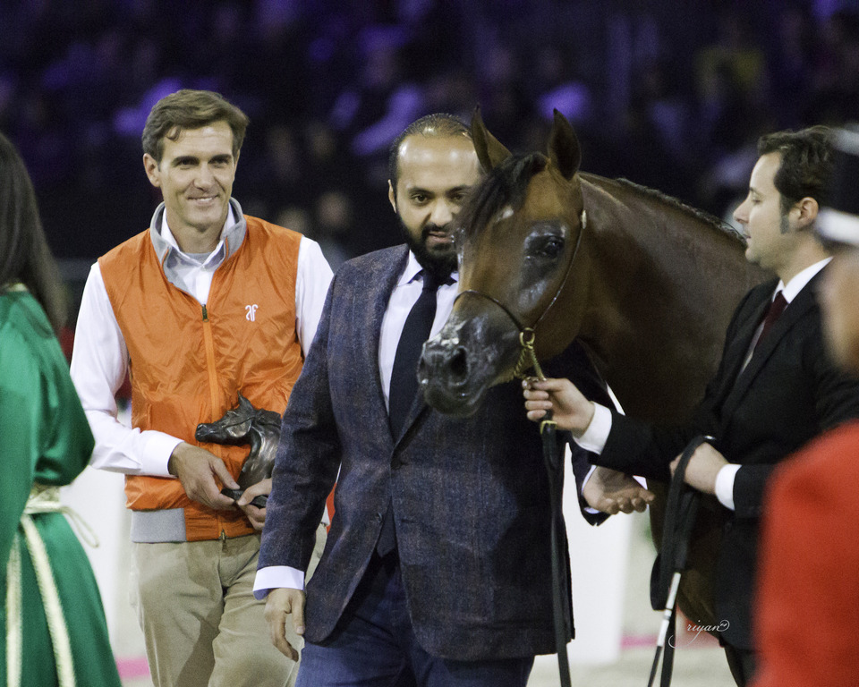 2014 Salon du Cheval de Paris World Arabian Horse Championship