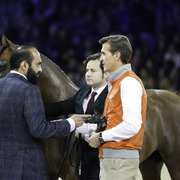 2014 Salon du Cheval de Paris World Arabian Horse Championship