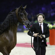 2014 Salon du Cheval de Paris World Arabian Horse Championship