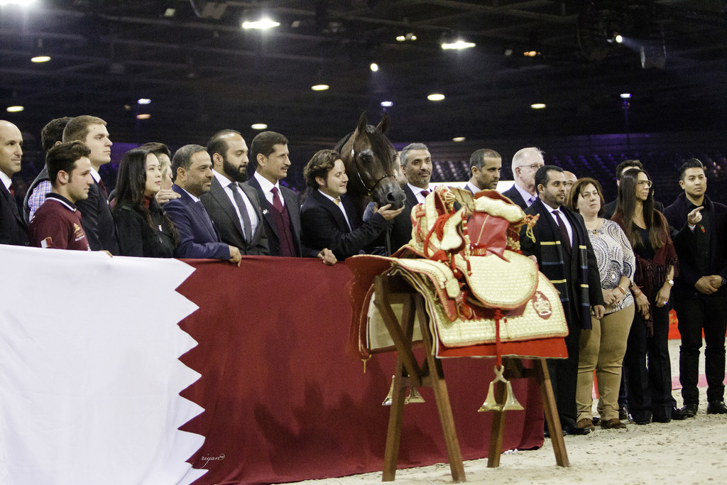 2014 Salon du Cheval de Paris World Arabian Horse Championship