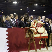 2014 Salon du Cheval de Paris World Arabian Horse Championship