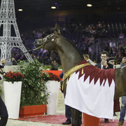 2014 Salon du Cheval de Paris World Arabian Horse Championship