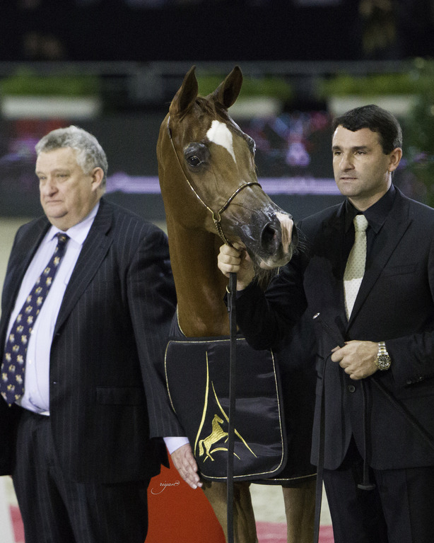 2014 Salon du Cheval de Paris World Arabian Horse Championship