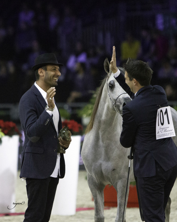 2014 Salon du Cheval de Paris World Arabian Horse Championship