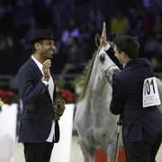 2014 Salon du Cheval de Paris World Arabian Horse Championship