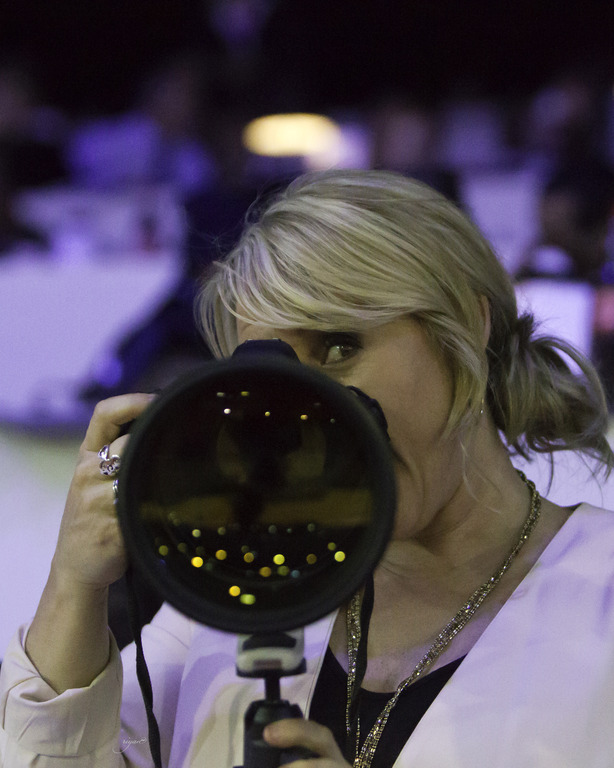 2014 Salon du Cheval de Paris World Arabian Horse Championship