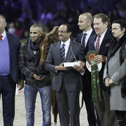2014 Salon du Cheval de Paris World Arabian Horse Championship