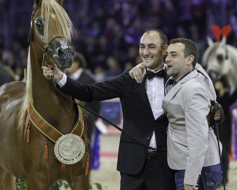 2014 Salon du Cheval de Paris World Arabian Horse Championship