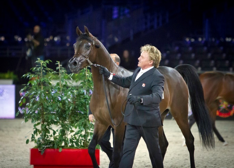 An emotional and beautiful journey of a World Champion