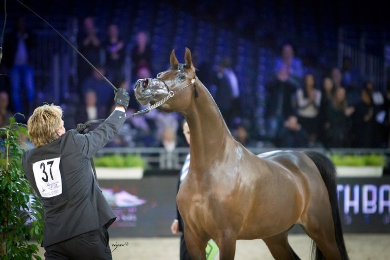 An emotional and beautiful journey of a World Champion