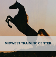 Arabhorse Farm Tour - Midwest Training Center 