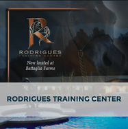 Arabhorse Farm Tour - Rodrigues Training Center 