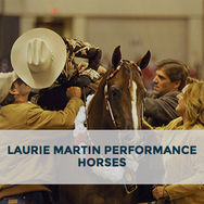 Arabhorse Farm Tour - Laurie Martin Performance Horses