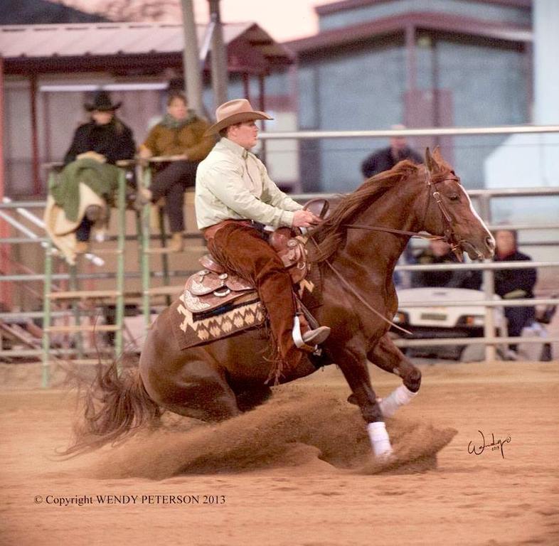 The 60th Annual Scottsdale Arabian Horse Show 