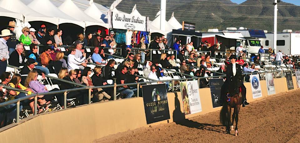 The 60th Annual Scottsdale Arabian Horse Show 