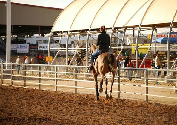 The 60th Annual Scottsdale Arabian Horse Show 