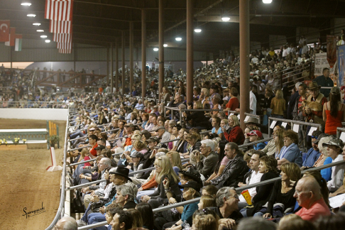 The 60th Annual Scottsdale Arabian Horse Show 