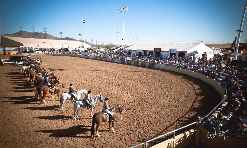 The 60th Annual Scottsdale Arabian Horse Show 