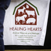 Healing Hearts
http://www.arabhorsefarmtour.com/givingback/
