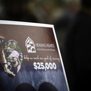 Healing Hearts
http://www.arabhorsefarmtour.com/givingback/